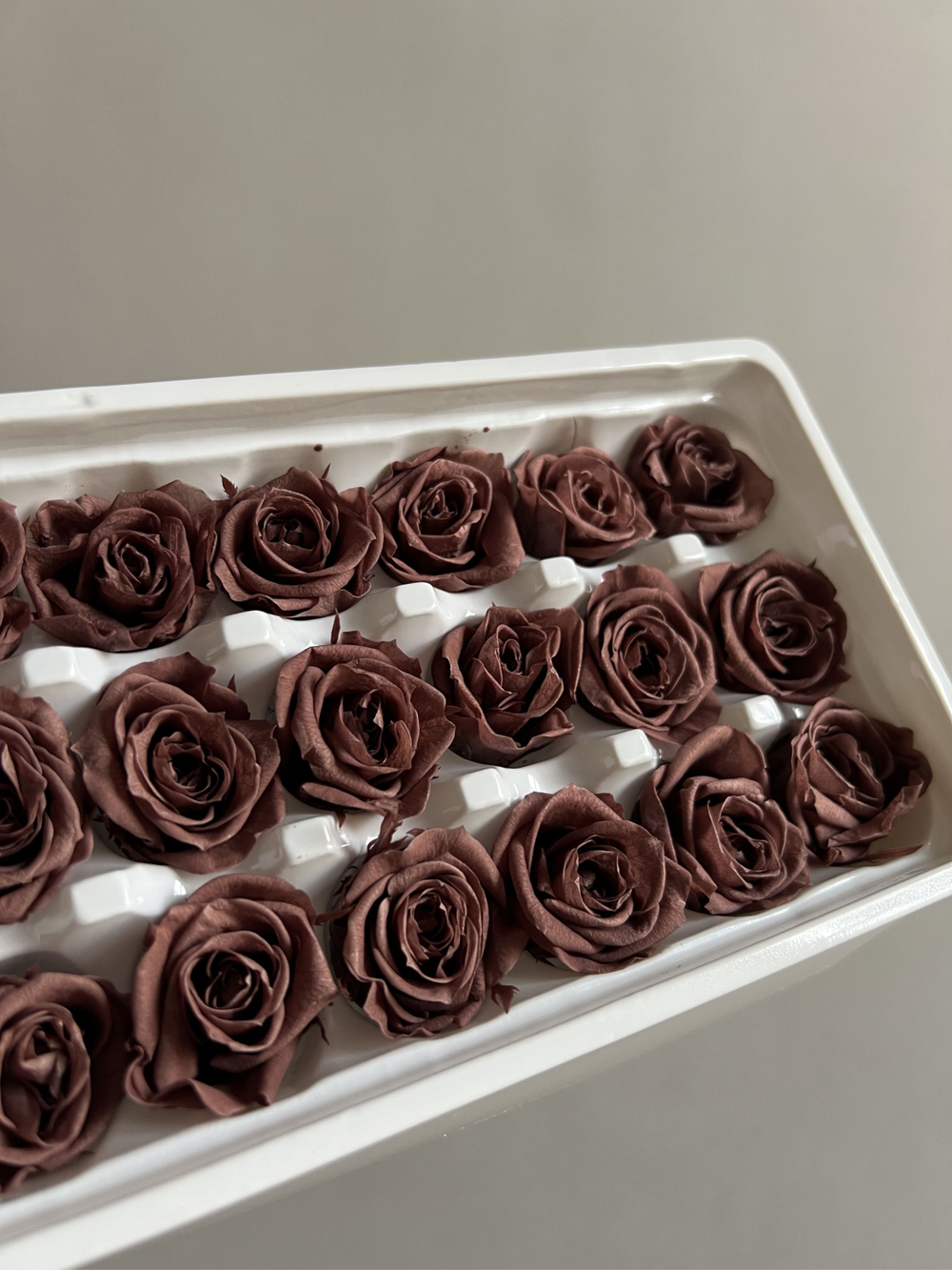 Роза классическая коричневая d=2-3 см (упак 21 шт)