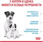 Royal Canin Mini Starter Сухой корм Роял Канин для щенков до 2 месяцев и матерей мини пород, 1 кг