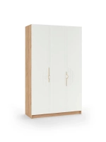 Шкаф распашной 120х50х200 трёхдверный Olivia 3