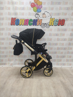 Коляска модульная Adamex Chantal SE C1