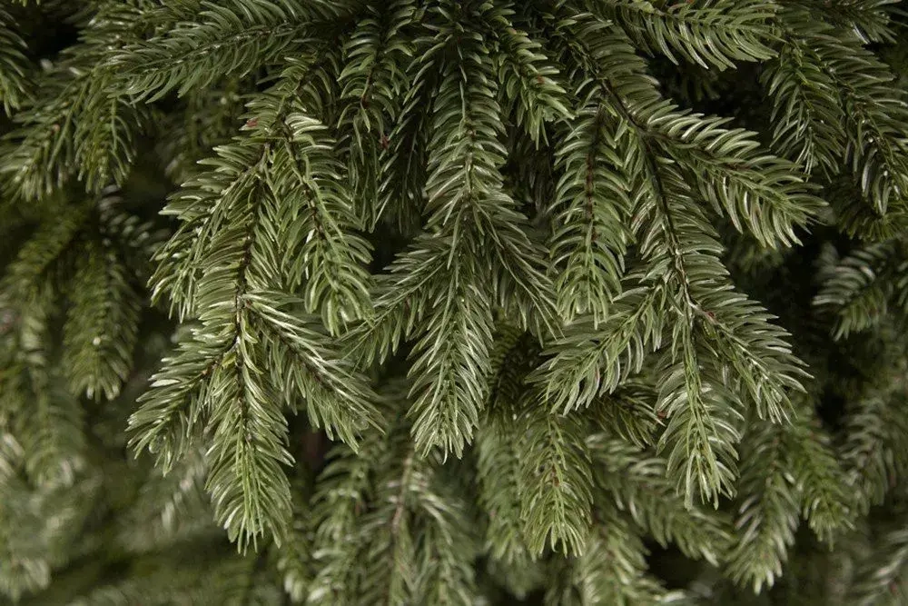 Елка Царская 155 см., литая хвоя+пвх, Triumph Tree (73639)