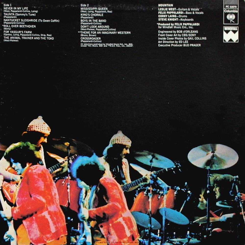 Mountain / The Best Of Mountain (LP)