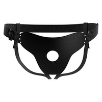 Трусики для страпона Pretty Love Harness Briefs Love Spell BW-022097
