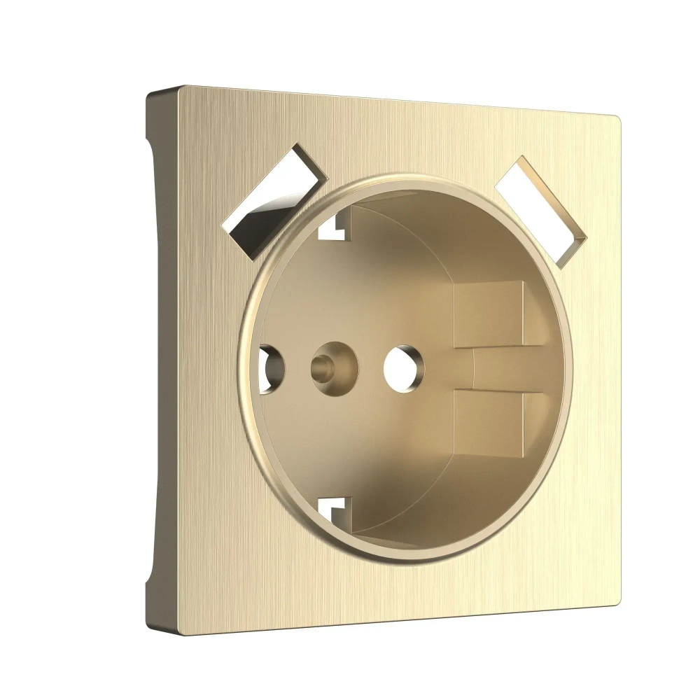 Накладкадля розетки USB (шампань рифленый) W1179510