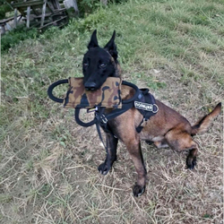 Кусалка подушка из спецткани с тремя ручками Fordogtrainers