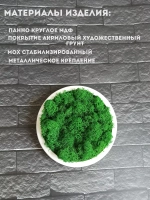 Круглое панно на стену из мха набор 3 шт.