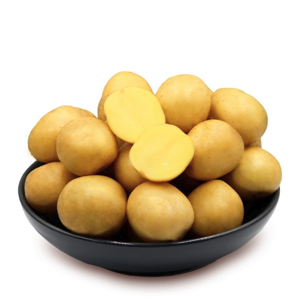 Картофель семенной 1кг сорт Гала