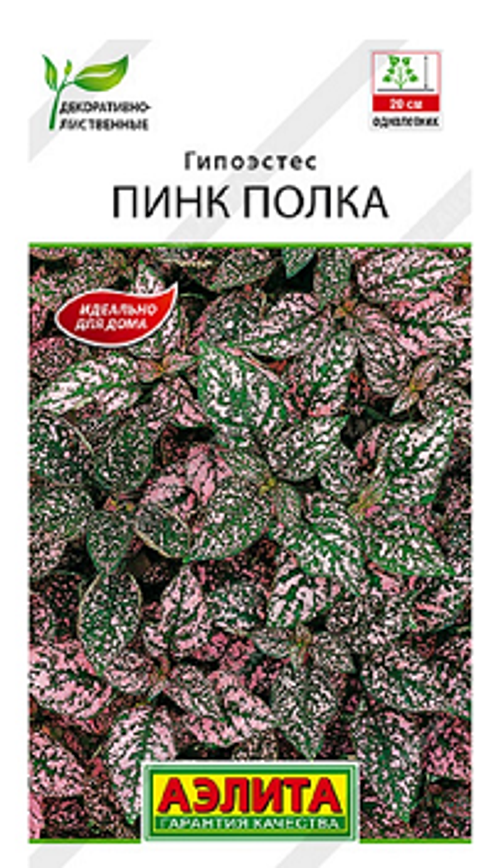 Гипоэстес Пинк Полка