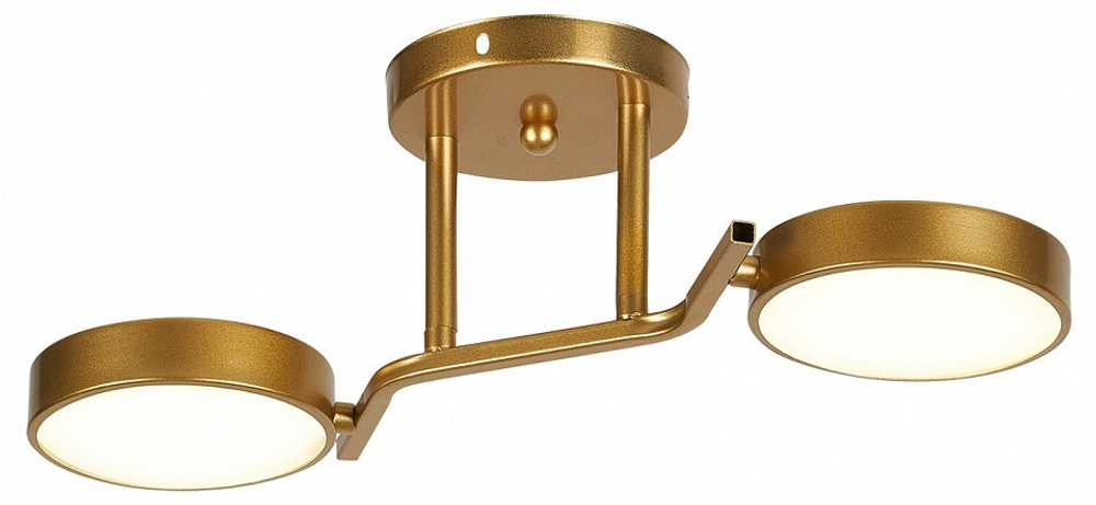 Светильник на штанге Escada Starlight 10273/2LED