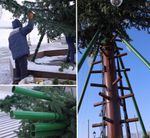 Светодинамическая елка ствольная со скамейкой, встроенная гирлянда: Холодный свет - "Лесная" (Литая хвоя) 12 м