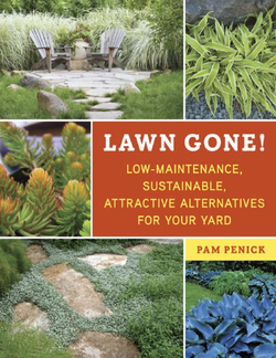 Lawn Gone! Low-Maintenance, Sustainable, Attractive Alternatives for Your Yard