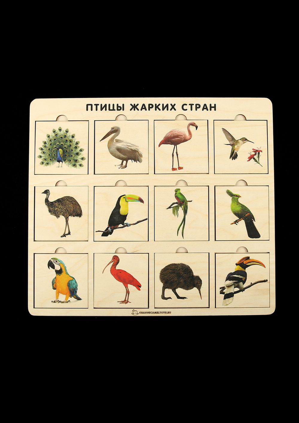 Игровое пособие "Птицы жарких стран"