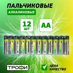 Батарейки Трофи LR6-12S ENERGY Alkaline