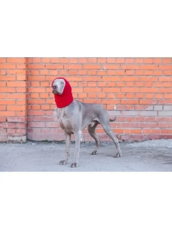 Снуды для собак флисовый шарф шапка для животных