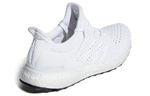 Кроссовки Adidas Ultraboost Clima