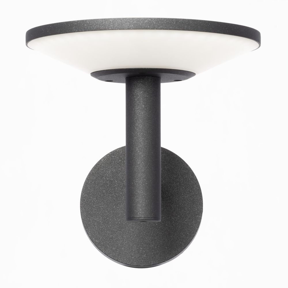 Citilux Dorn CLU05W LED Уличный настенный светильник Графит