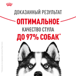 Royal Canin Maxi Digestive Care Макси Дайджестив кэа Корм сухой для взрослых собак больших размеров с чувствительным пищеварением 3кг