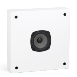 Radiotehnika Vita 2.01 White Ash широкополосная настенная акустика