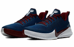 Кроссовки Nike Mamba Focus Ep