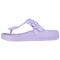 Skechers Foamies Cali Breeze 2.0 Newport Coast 'Purple'
