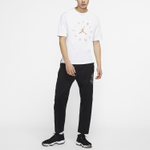 Штаны Jordan Chinese New Year Statement, CU2327-010