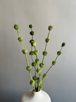 Гомфрена шаровидная стабилизированная зеленая