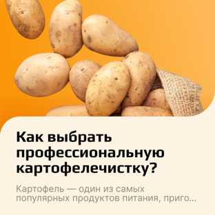 Картофелечистки: что это, принцип работы, как выбрать для общепита?