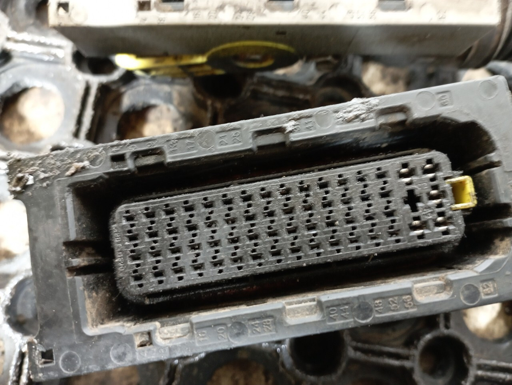 Проводка двигателя DXI11