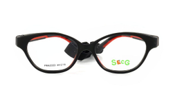 SECG 62333 1 оправа