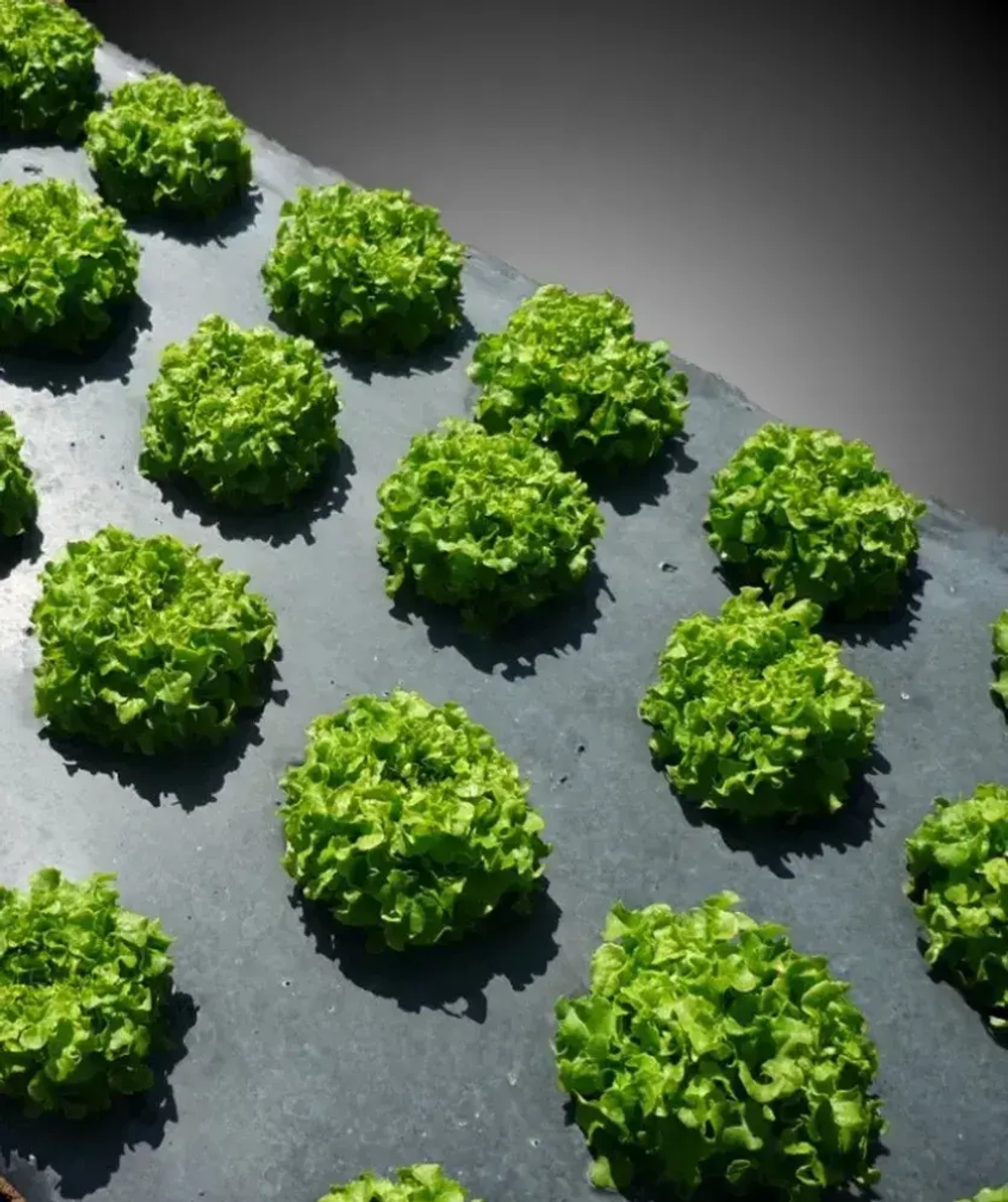 Пленка техническая полиэтиленовая 150 мкм черная (рукав 1.5*10, 30 кв.м.)