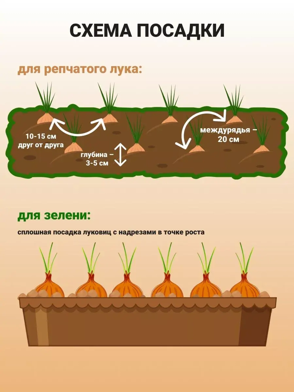 Лук севок озимый для посадки Штутгартер Ризен 1 кг