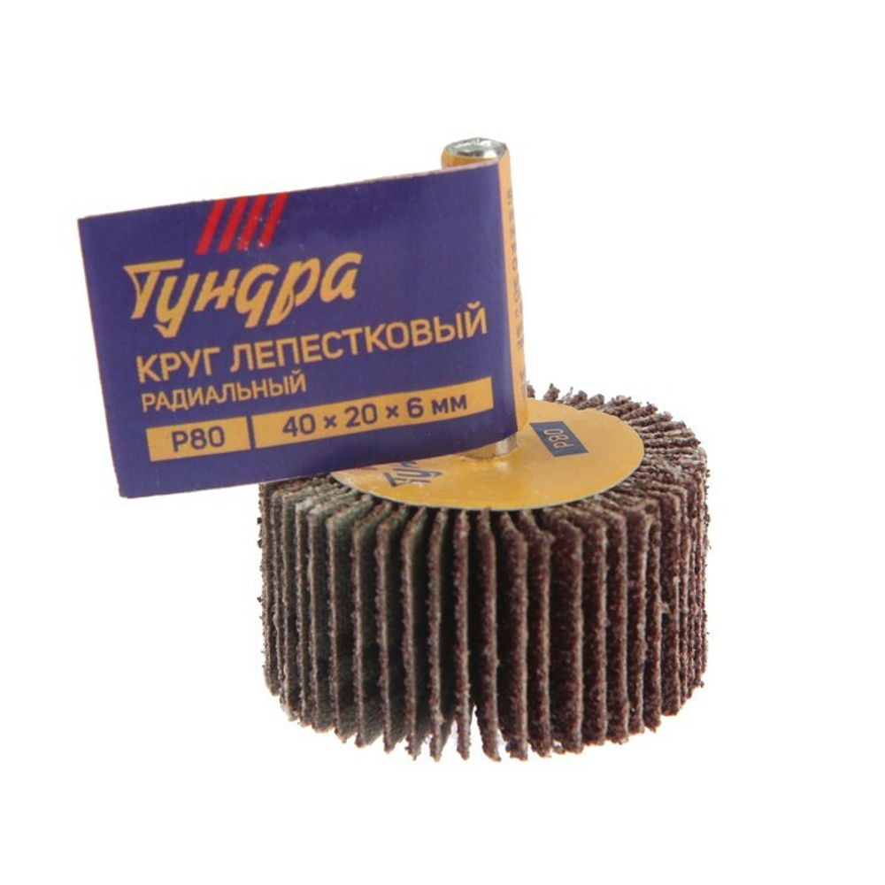 Круг лепестковый радиальный ТУНДРА, 40×20×6 мм, Р80