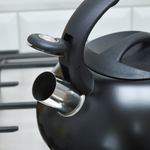 Чайник 2,5л нерж со свистком, с ручкой "soft-touch"