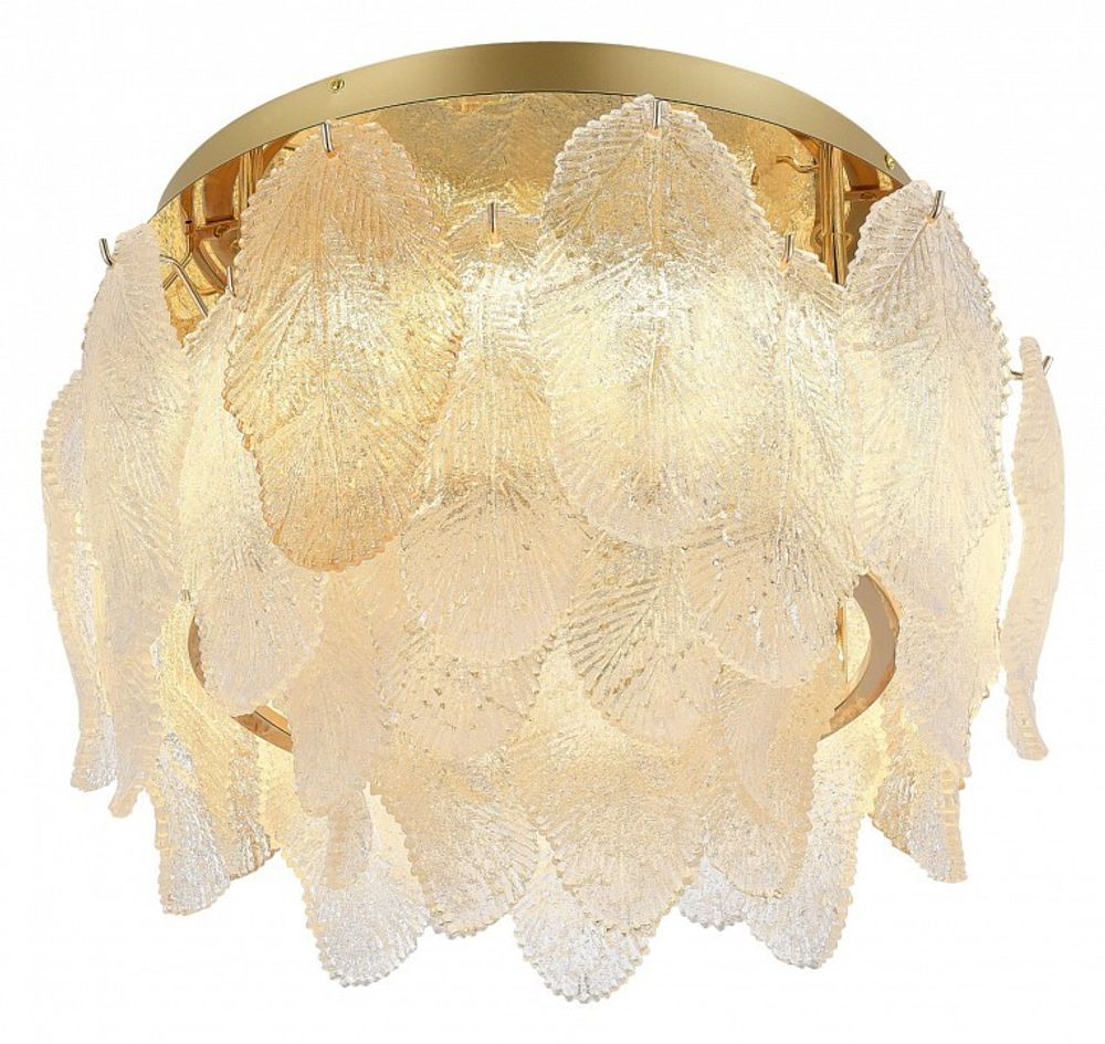 Потолочная люстра ST-Luce LIGHTSOME SL6135.202.01