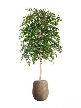 Комплект - Берёза натуральная 140 см в кашпо TREEZ Effectory - серия Wood