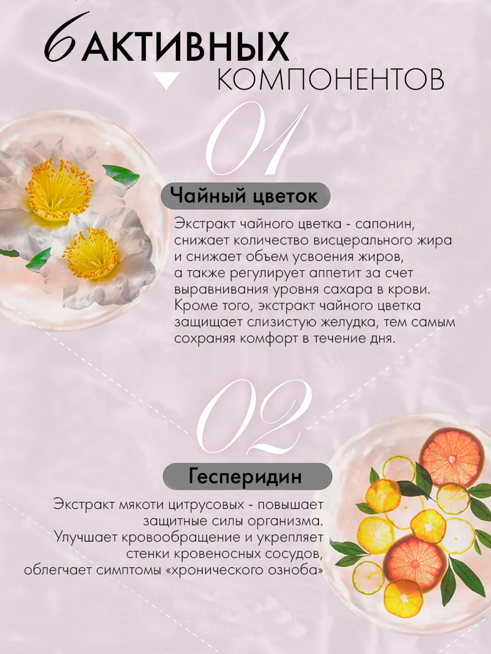 Желе для снижения веса и поддержания здоровья Venus Reipe VF Jelly