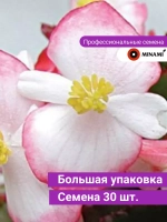 Бегония Вариация двухцветная F1 зеленый лист семена 30шт
