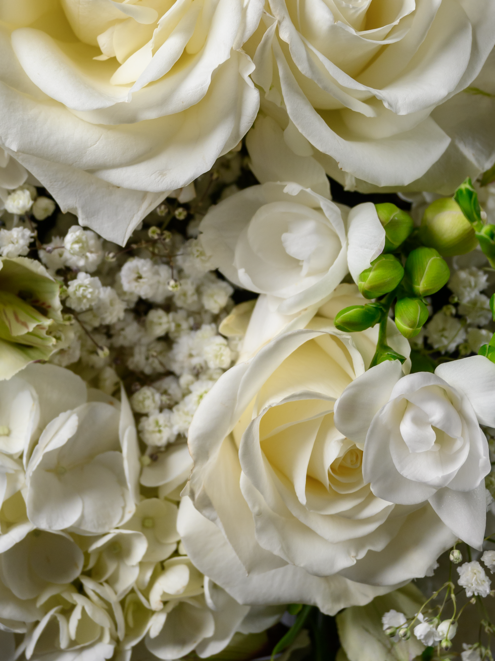 Символ чистоты *