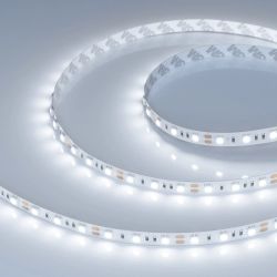 Светодиодная лента RT-B60-10mm 12V Cool 8K (14.4 W/m, IP20, 5060, 5m) (Arlight, 14.4 Вт/м, IP20) 013341(2)
