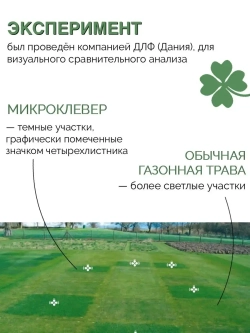 Газон - Микроклевер Пиполина (450 гр)