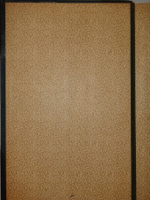 "Семейная хроника и воспоминания С.Т.Аксакова". С.Т.Аксаков. 1879 г.