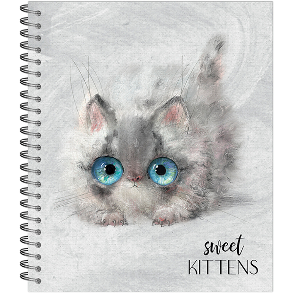 ТЕТРАДЬ ОБЩАЯ 48 ЛИСТОВ НА СПИРАЛИ “Глазастые котики”