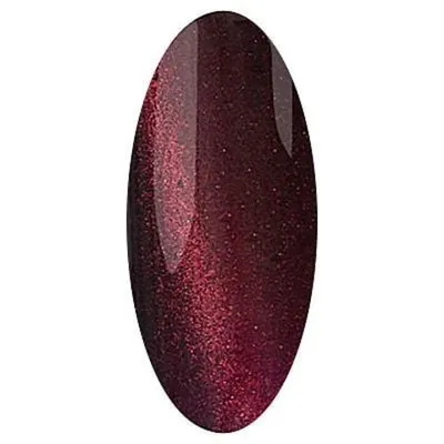 Гель-лак IRISK Cat Eye, 10гр, 16