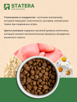 STATERA (Статера) Сухой корм для щенков всех пород с индейкой