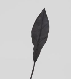 TR 605S Антуриум