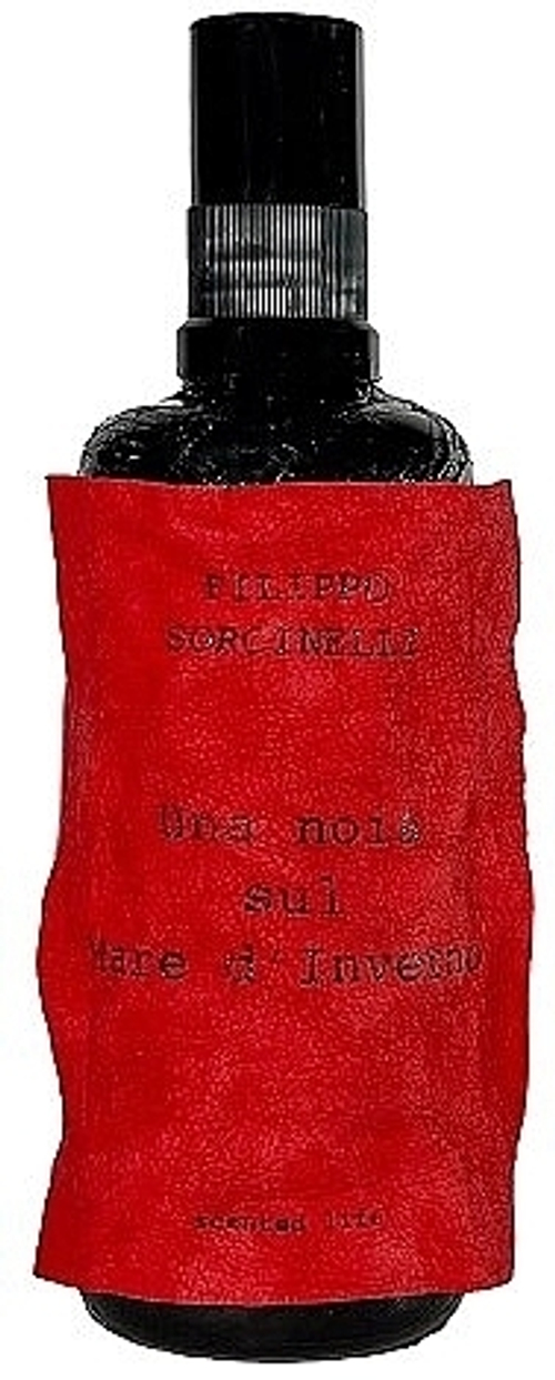 FILIPPO SORCINELLI UNA NOIA SUL MARE D'INVERNO HOME SPRAY 100 ML