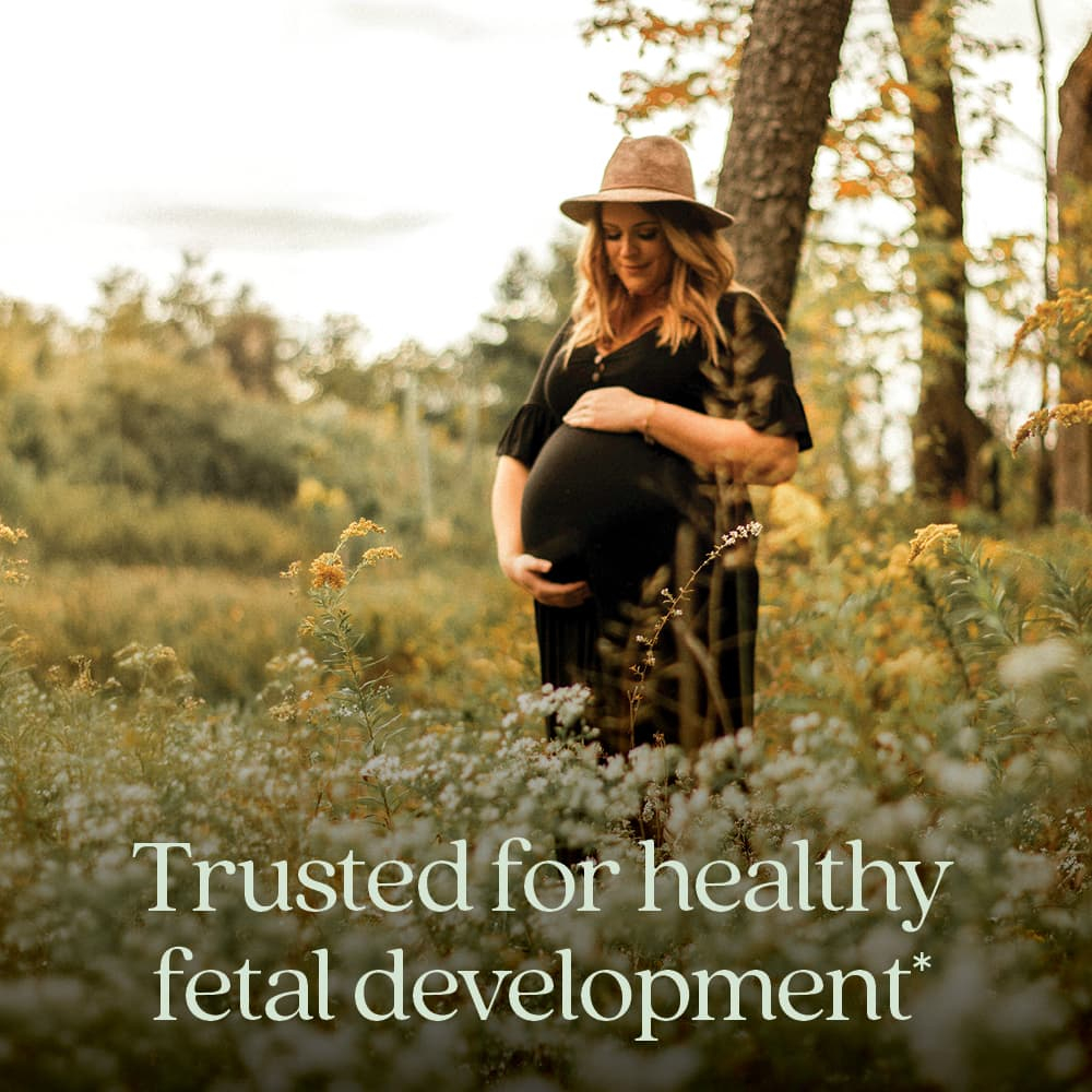 New Chapter, Advanced Perfect Prenatal ™, мультивитамины, 270 вегетарианских таблеток
