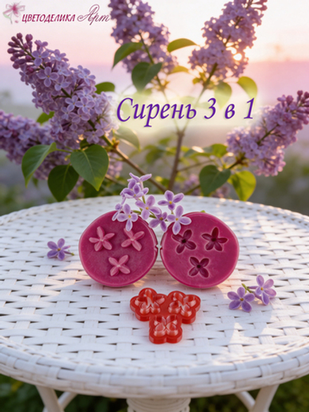 Цветы сирени 3 в 1