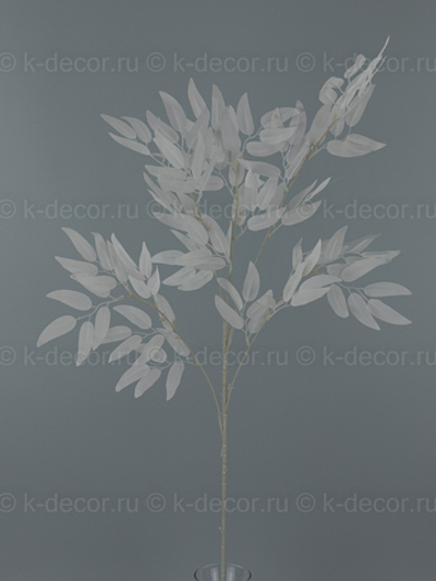 Рускус Итальянский