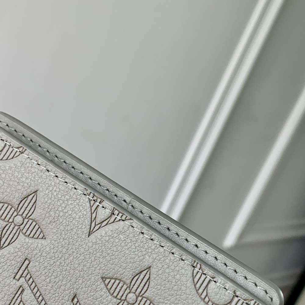 Louis Vuitton Pocket Organizer